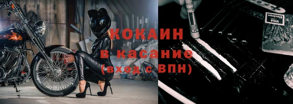винт Пересвет