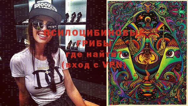 не бодяженный Алзамай